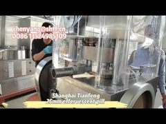 ZP17B cubo de pollo efervescente píldora comprimido máquina de prensa