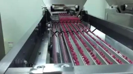 Línea de producción de llenado de botellas farmacéuticas de alta velocidad de 380 V con 1 año de garantía para botellas de 60 ml, 80 ml y 100 ml