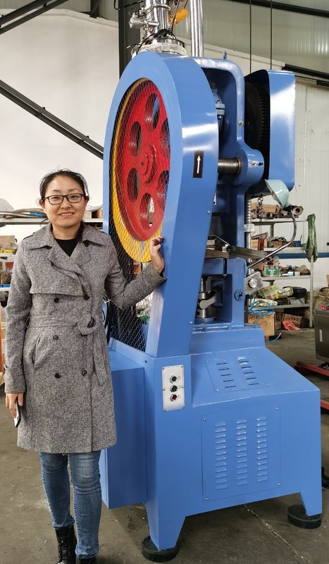 Máquina de la prensa de la tableta de la cesta de la flor de la serie de THP de tipo continuo